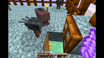 Minecraft Aether mod + Too Many Items