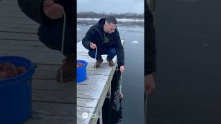 Doing some crabbing with my adopted son and this happened 😂#comedyforever #comedymovies