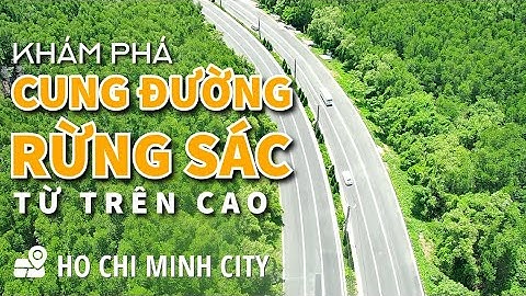 Khám Phá Cung Đường Rừng Sác Cần Giờ Từ Trên Cao | Con Đường Đẹp Quên Lối Về Ở Sài Gòn | Milo Võ