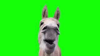 Green Screen Eating Donkey Meme