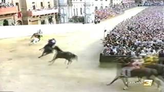 Palio 2 Luglio 2010