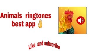 Animals ringtones best app screenshot 5