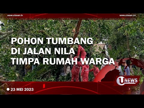 POHON TUMBANG DI JALAN NILA TANJUNGPINANG TIMPA RUMAH WARGA | U-NEWS