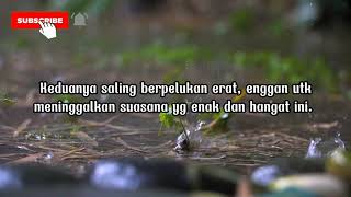 Maafkan Aku Dina Kupinjam Suamimu semalam || cerita romantis Maafkan Aku Dina Kupinjam Suamimu semalam || cerita romantis