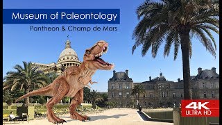 Париж: Люксембургский сад. Пантеон. Палеонтологический музей. Отдых на Марсовом поле. Шоу у СакреКёр