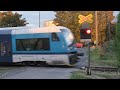 Železniční přejezd Nové Město pod Smrkem #1 [P2906] - 27.9.2025 / Czech railroad crossing