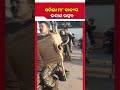 ଧରାପୃଷ୍ଠରୁ ବିଦାୟ ନେଲେ ମା' କାଳୀ, ଦେବୀଗଡା ଅସ୍ଥାୟୀ ପୋଖରୀରେ ସରିଲା ୫୬ଟି ମେଢ଼ର ଭସାଣ | Kalinga TV Digital