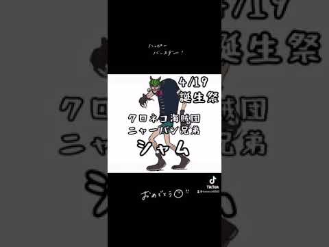 黒猫海賊団 シャム 誕生祭 ワンピースキャラ誕生日4 19 Onepiece Shorts Tiktok Youtube