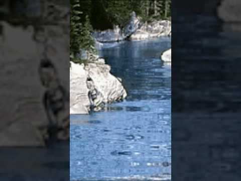 دعاء جميل للإذاعي المتميز شحاتة العرابي