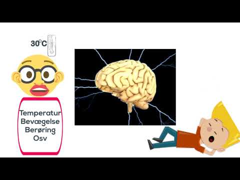 Video: Dyscirculatorisk Encefalopati - Symptomer, Behandling Av Hjernen