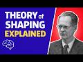 B.F. Skinner's Theory of Shaping Explained