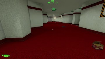 Black Mesa Invisible weapon bug reproduced