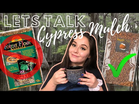 Video: Thông tin vềCypress Mulch - Ưu và Nhược điểm của Cypress Garden Mulch