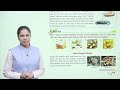 Ch 01 | Learn Well Books | Science | Class 04 | Food Making in Plants | For children