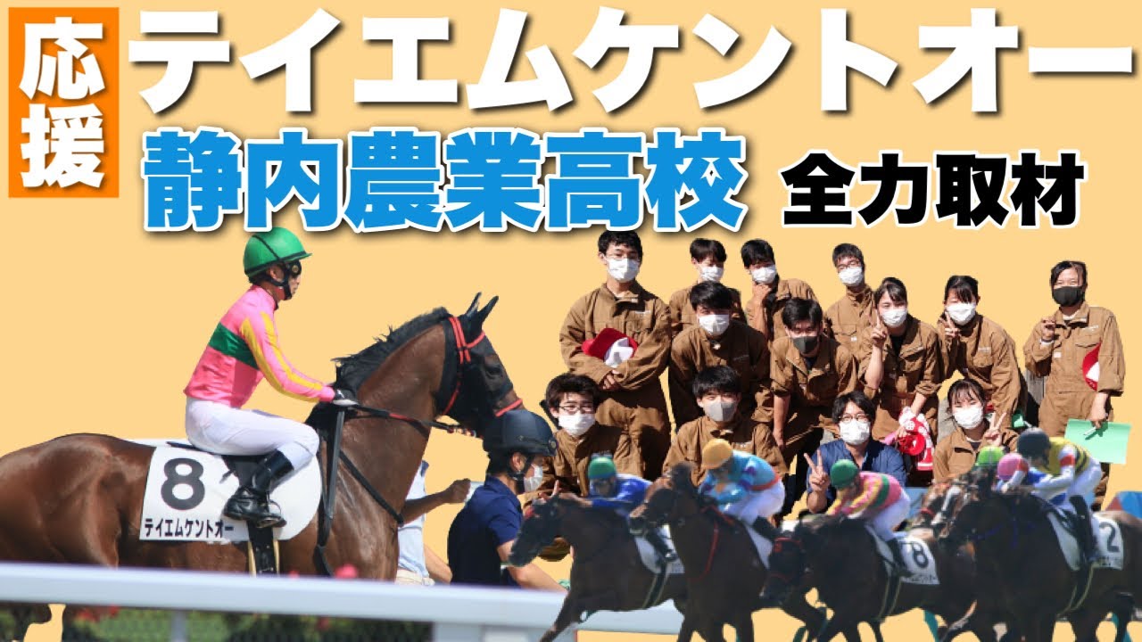 【全力取材】テイエムケントオー 祝デビュー「馬に駆ける」”静内農業高校”で見た生徒たちの情熱―