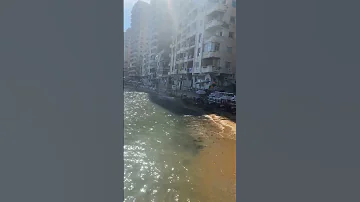 ابوقير الاسكندريه البحر جوه البيوت 