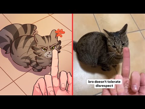 These Cats Woke Up and Chose Chaos