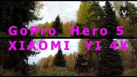 GoPro Hero 5 vs. XIAOMI YI 4K