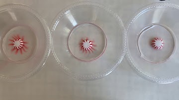 Peppermint Candy in Different Water - 6.2 Thermal Energy Lesson 10