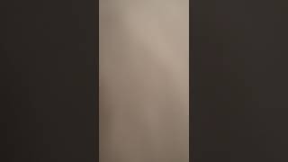 Segundo Vídeo De Coleção De Dvds Da Galinha Pintadinha Felipe Jacarelvis Vídeo Oficial