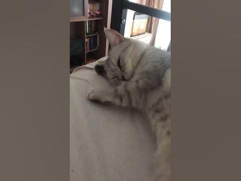 каты - YouTube