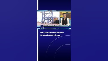 Gần 8.000 container tồn đọng tại các cảng biển Việt Nam | VTVMoney