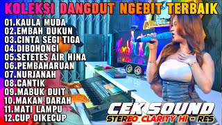 DANGDUT NGEBIT TERLARIS MAKAN DARAH | KOLEKSI LAGU PILIHAN PALING ASIK COVER ORGEN TUNGGAL