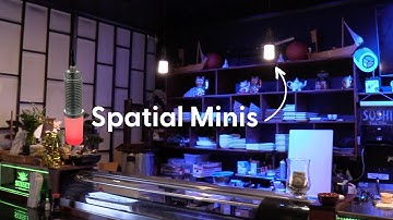 Spatial Minis Transform a Restaurant!  | Lo-Vo Architectural Lighting