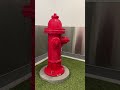 Туалет для собак в Лос-Анджелесе