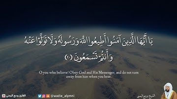 أرِح قلبك بكلام الله تلاوة هادئة تشرح الصدور - وديع اليمني