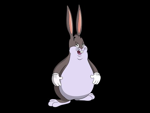 ახალი რუბრიკა არხზე \"პატარა პოზიტივი\" | ბაქს ბანნი და ბეატრისი :D