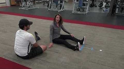 Modified Sit and Reach Test - Mod 2