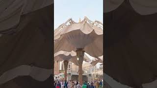 Раскрытие зонтов на площади “Пророческой Мечети” (г.Мадина)