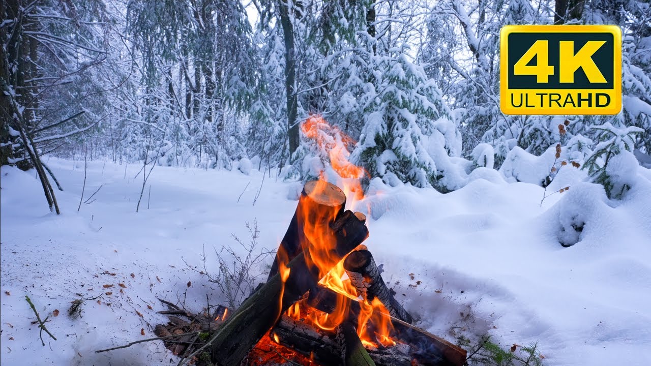 Ready go to ... https://youtu.be/Bjzb7k5hNsM [ ð¥ Cozy Campfire in the Winter Forest (10 HOURS). Campfire with Burning Logs and Nature Sounds]