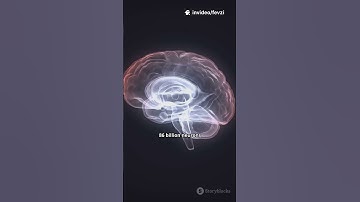 Your Brain Is Faster Than You Think!🧠