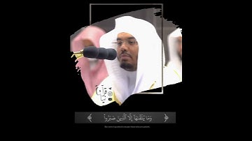 ﴿وَلا تَستَوِي الحَسَنَةُ وَلَا السَّيِّئَةُ﴾ من سورة فصلت للشيخ ياسر الدوسري 🤍.