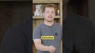 Extinction in ABA #abatherapy #extinction #autism #behaviors #neurodiverse #neurodiversity #goally