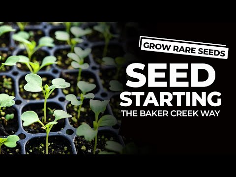 Seed Starting the Baker Creek Way