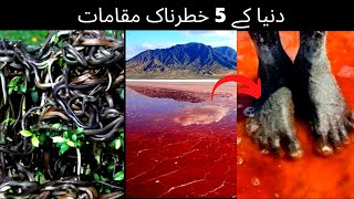 Top 5 dangerous places in the world | دنیا کے 5 خطرناک مقامات | death valley | snake island ...