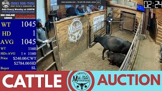 Arkansas Cattle Prices LIVE | Damascus Sale Ring Action at Pruitt’s Mid-State