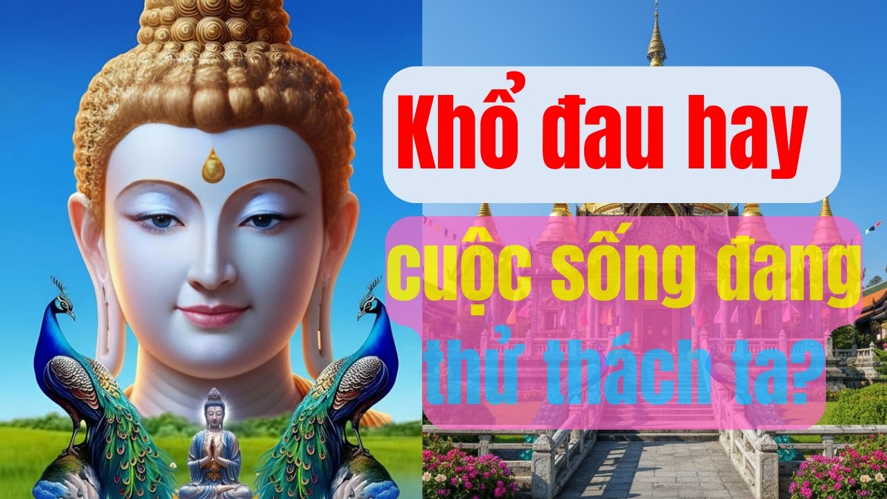 Làm sao để tìm thấy bình an khi đối mặt với khổ đau? Phật pháp nhiệm màu sẽ hé lộ bí mật này