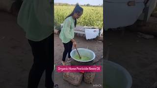 Organic home pesticide neem oli neem oil pesticides organic shortsvideo shorts