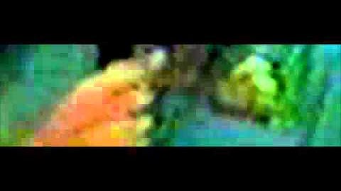 DEF CON 9 - Bruce Schneier Answers Questions *