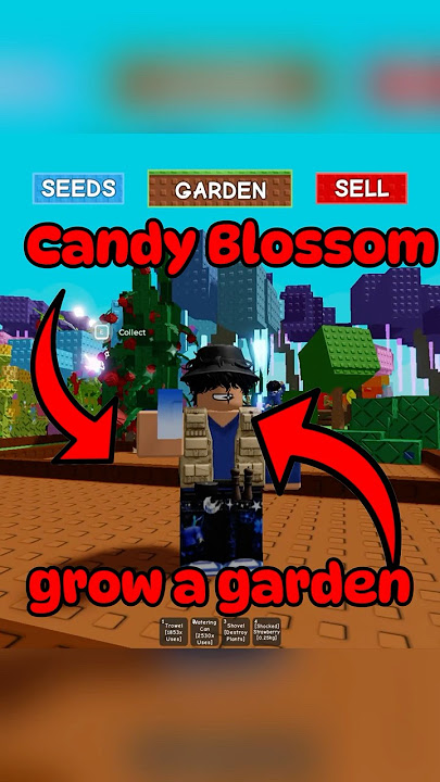 CANDY BLOSSOM SEED GROW A GARDEN #growagarden