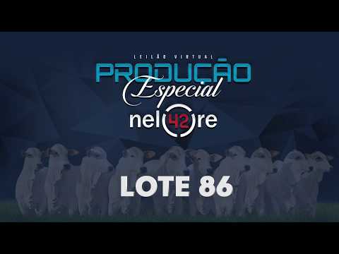 LOTE 86