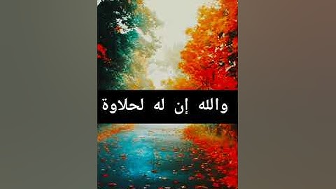 تلاوات قصيره جدا للشيخ محمد أسامه Mohamed osama, koran kareem (5)