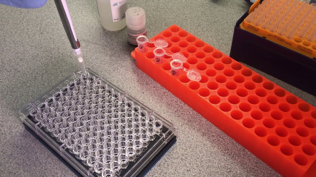 Acta Science NimblePure PCR Demo - YouTube