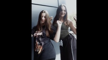 Pitbull Terrier (TikTok trend)