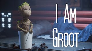 I Am Groot || I Am Groot