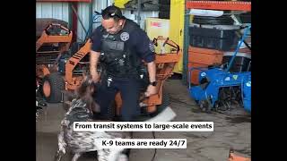 K9 Training 2026